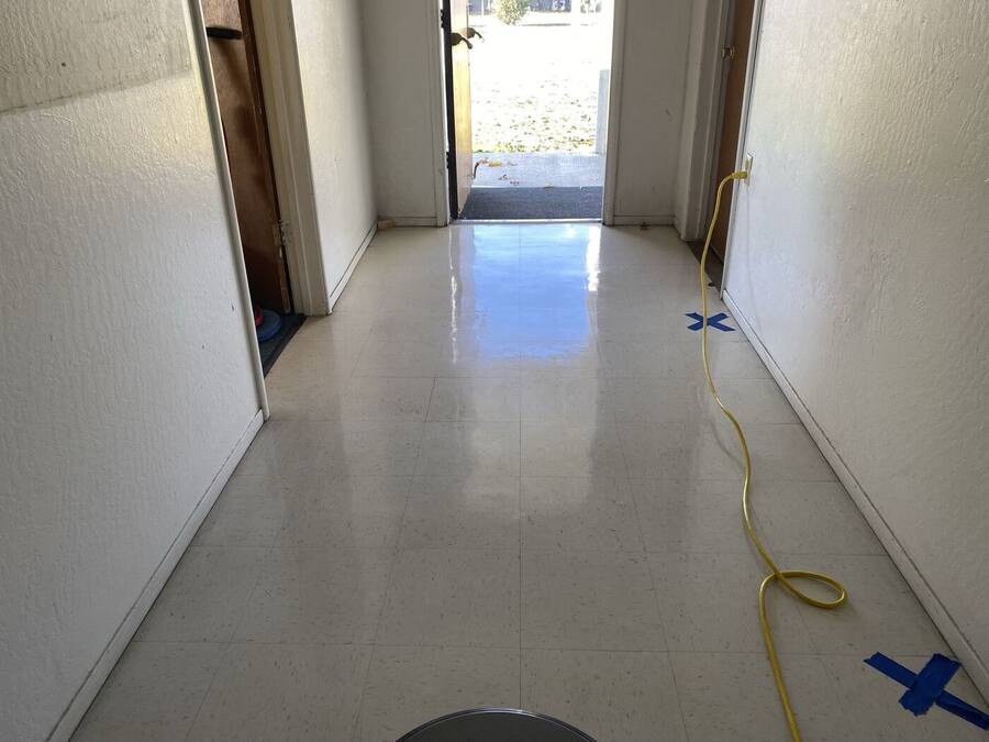 Hard floors are the specialty