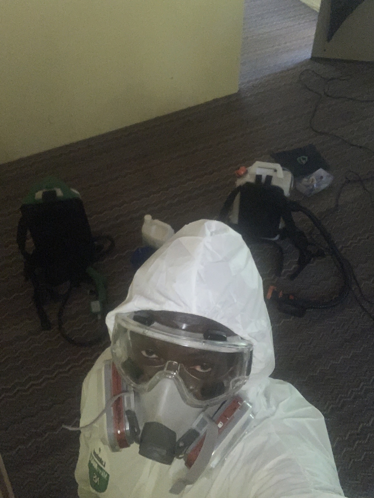 Pet odor removal